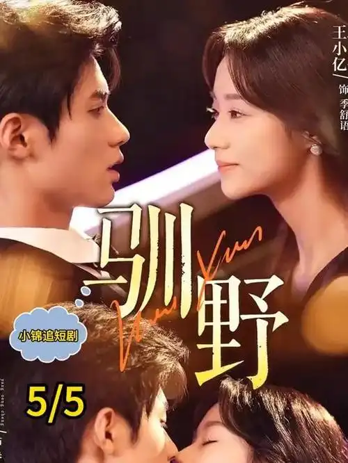 山海归途 热播电视剧全集在线观看